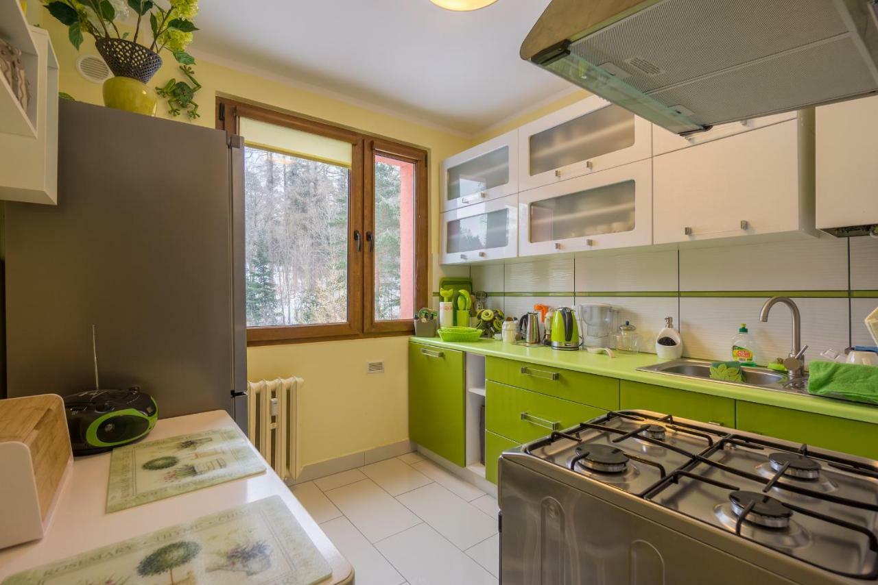 Apartament Sniezna Sowa 스클라르스카포렘바 외부 사진