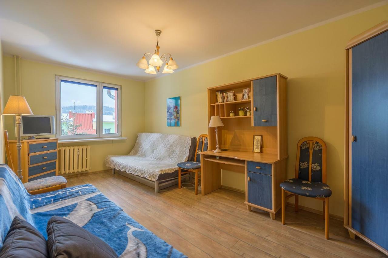 Apartament Sniezna Sowa 스클라르스카포렘바 외부 사진